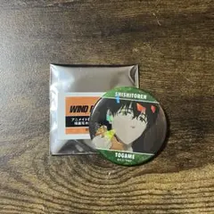 ウィンドブレーカー 十亀条 場面写ホログラム缶バッジ