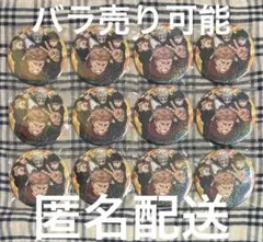 呪術廻戦 コレクション缶バッジ 虎杖悠仁 伏黒恵 釘崎野薔薇 五条悟