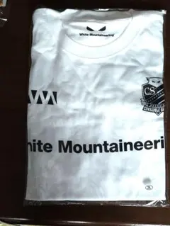 Item thumbnail for item 957780bd-903a-4567-a06f-d60a342b6f13