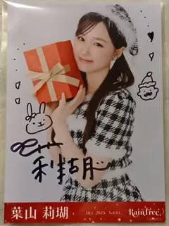 葉山莉瑚 直筆サイン入り クリスマス衣装 生写真 RainTree レインツリー
