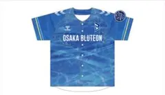 Item thumbnail for item d5d8f0d1-f5d8-45af-96fa-eb7caa92087a