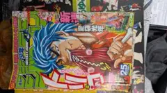 週刊少年ジャンプ 2008年25号 トリコ新連載 ONEPIECEカード付き - メルカリ