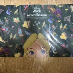 Item thumbnail for item 822effbc-76a5-497f-bf29-2968b144550f