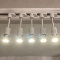 Item thumbnail for item d562052c-588d-43e9-9f21-367e0d1f65fe