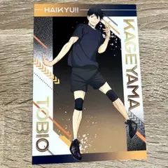 ハイキュー アニメイト特典 ポストカード 擬似ユース 影山飛雄