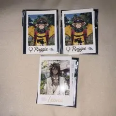 ツイステ 展 カード イベント 衣装 レオナ ラギー ツイステッドワンダーランド