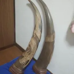 ​美品】水牛の角 龍 彫刻 置物 45cm 昇龍 縁起物 風水 開運 インテリア 水牛の角 龍 彫刻 置物 45cm 昇龍 縁起物 風水 開運 インテリア - メルカリ