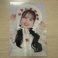 松本かれん　LARME ポストカード FRUITS ZIPPER