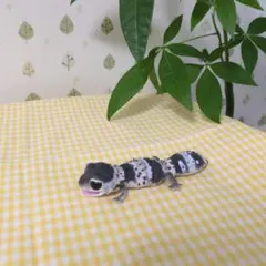 Item thumbnail for item ca243be2-0b70-406c-8ede-060dbb61182a