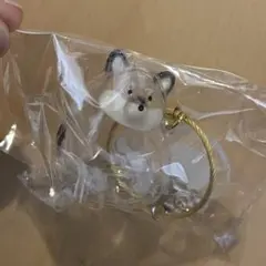 うちの子のけだまだま 黒柴