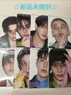 straykidsスキズKARMAアコーディオンver.8種コンプ おまけ付