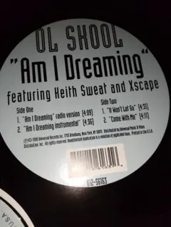 ol skool am i dreaming 1998usオリジナル盤
