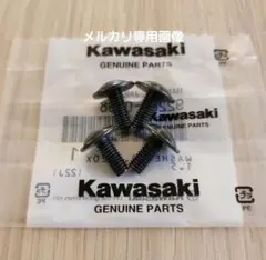 ②カワサキ純正　GPZ400F サイドカバーネジ グ サイドカバー用ネジのサムネイル