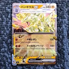ポケモンカード　バンギラスex　RR