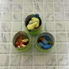 ポケットモンスター 旅立ちの3匹 ヒノアラシ・ヒコザル・ミズゴロウ 説明書付き