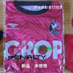 ファジアーノ岡山2024年オーセンティックユニフォームXO 鈴木喜丈♯43