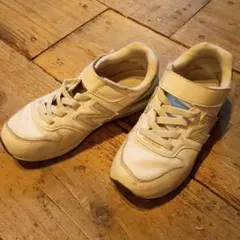 Item thumbnail for item 122fd19b-d4e0-481d-aa36-17d2c9f86d48