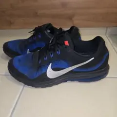 nike スニーカー メンズ