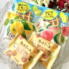 土佐の果樹園 & 瀬戸内レモンワッフル & クルミーユʕ•ᴥ•ʔのサムネイル