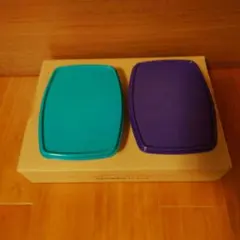 Item thumbnail for item 95838df7-36aa-4a9b-aee7-25180cb558b2