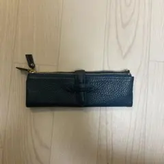 cカンパニー　ルポペンケース