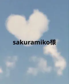 sakuramiko様 リクエスト 2点 まとめ商品