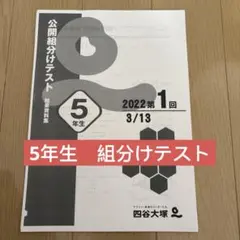 2026年最新】組み分けテストの人気アイテム - メルカリ