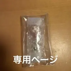 専用ページ