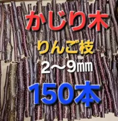 Item thumbnail for item 76e3e2ba-d36e-43de-864a-c53d62aec729