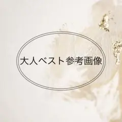 大人用ベスト参考画像