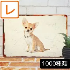 デザイン看板A4】チワワ犬sy★ポスター絵ブリキ看板グッズ雑貨イラスト可愛い
