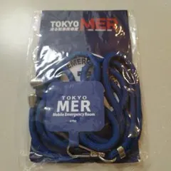 Item thumbnail for item 5c7b772c-8ad9-43ad-9fb8-62a8270420de