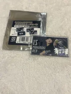 オリックス・バファローズ ホログラムキーチェーン 椋木蓮