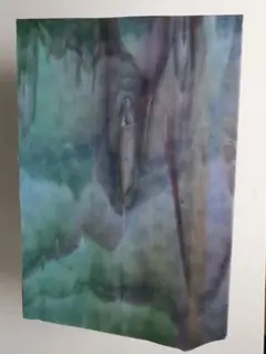 Item thumbnail for item c43561db-5c12-4267-b6f2-5008fbce05ef