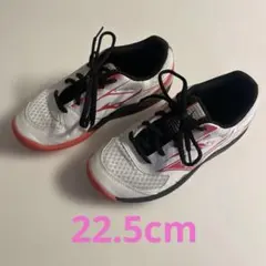 ミズノ バドミントンシューズ スカイブラスター 4 22.5cm