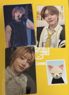 アイエンtoy world タワレコ特典 封入 トレカ スキズstraykids