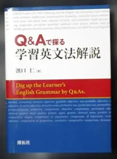 Q&Aで探る学習英文法解説 濱口仁