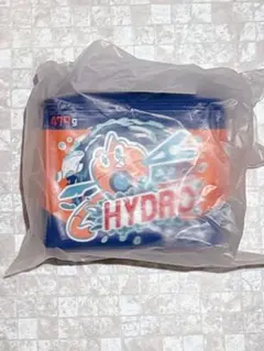 ポーチ ピカピカマート ロトム ウォッシュロトム　ポケモン　ポケモンセンター