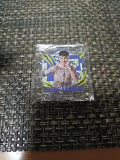 Item thumbnail for item 075e8e4b-3c85-4e8b-91c3-67b14b0c74da