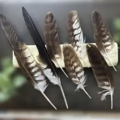 かるこ様 リクエスト 2点 まとめ商品