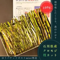 2026年最新】クロモジ 山採りの人気アイテム - メルカリ