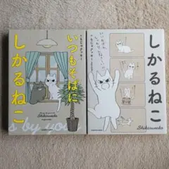 しかるねこ　いつもそばにしかるねこ　2冊セット