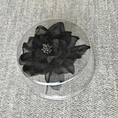 Item thumbnail for item b72baeaf-8c72-464d-8693-a859f83fd396