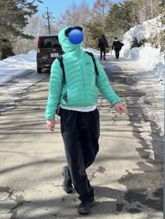 2012s Patagonia ダウンセーターフーディー