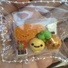 スクイーズ　美品　ラスト