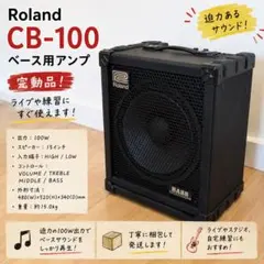 2026年最新】roland cube 100の人気アイテム - メルカリ