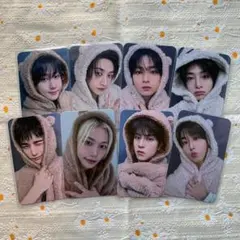 Straykids スキズ KARMA プレリス Fans トレカ 8枚