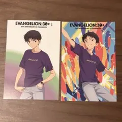 EVANGELION:30+; ポストカード 碇シンジ　2種　 エヴァ
