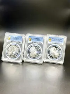 2013年 エリザベス ポートレート 載冠式 銀貨 NGC PF69UC 4枚 - メルカリ