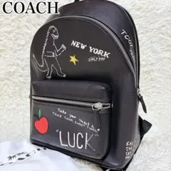 2026年最新】coach レキシー リュックの人気アイテム - メルカリ